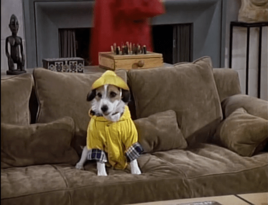 Forget the Setup,&nbsp;Eddie