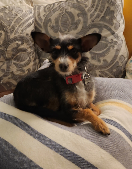 Working to Get an&nbsp;A