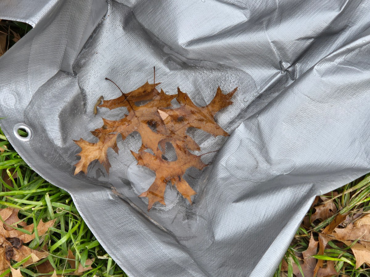 I See Icy&nbsp;Things