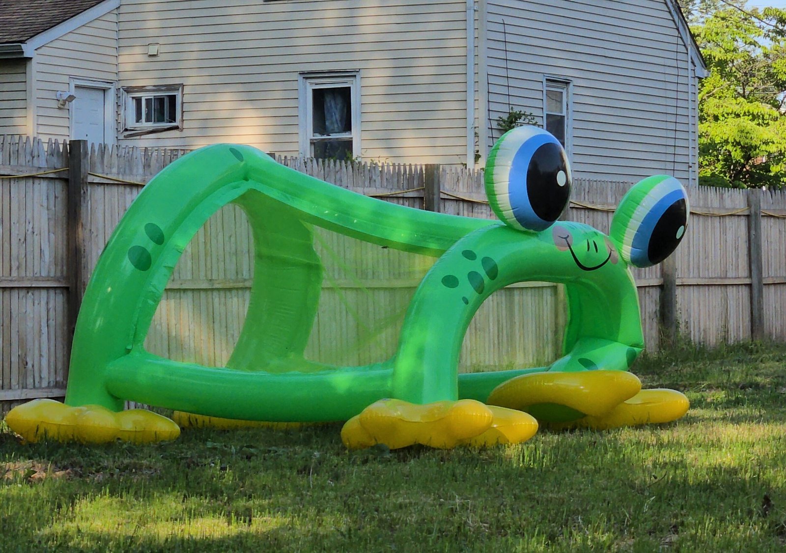 Beware the Wilted Frog