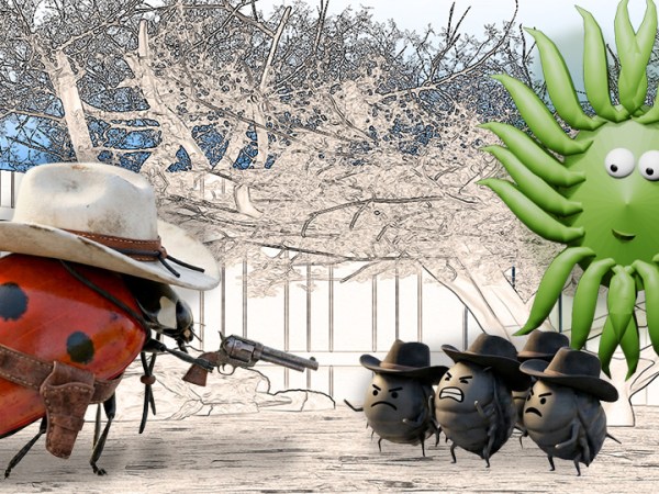 We’re All Aphids